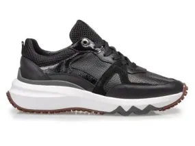 Floris van Bommel SFW-10111